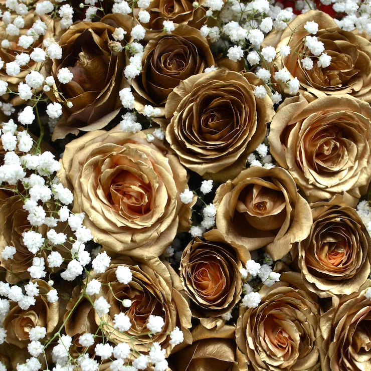 Flor rosa de ouro para plano de fundo