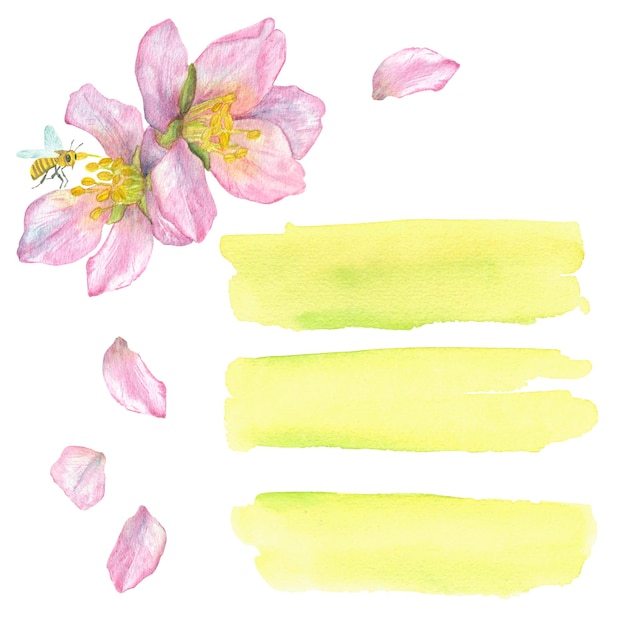 Flor rosa de uma árvore frutífera com uma abelha Pinceladas de aquarela amarelas Ilustração de aquarela