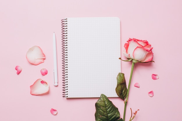 Flor rosa e pétalas no caderno página vazia isolado no branco.