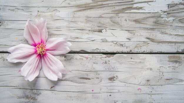 Flor rosa em mesa de madeira