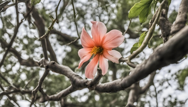 una flor rosa está en una rama de árbol