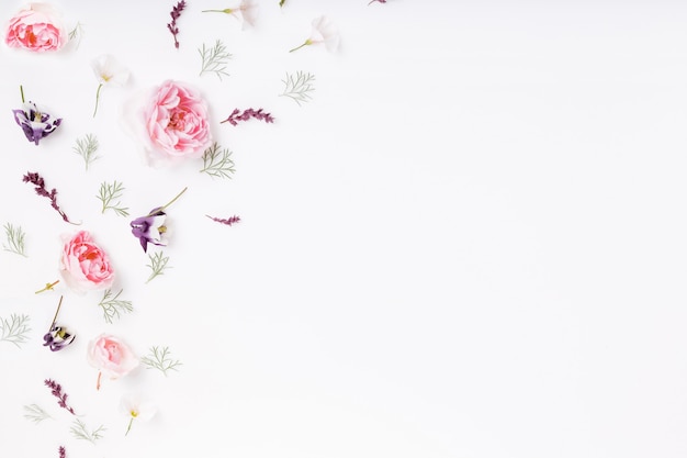 Foto flor rosa festiva composición de rosas inglesas sobre fondo blanco. vista superior aérea, endecha plana. copie el espacio. cumpleaños, madre, día de san valentín, mujer, concepto del día de la boda.