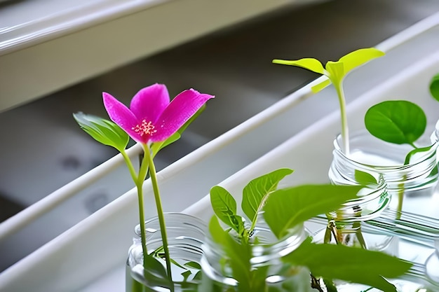 Una flor rosa en un frasco de vidrio está sostenida por una hoja verde.