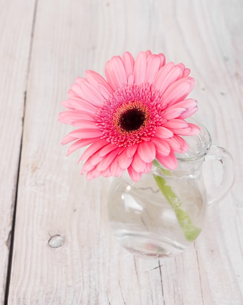 Flor rosa gerbera en un jarrón de cristal sobre un fondo de madera