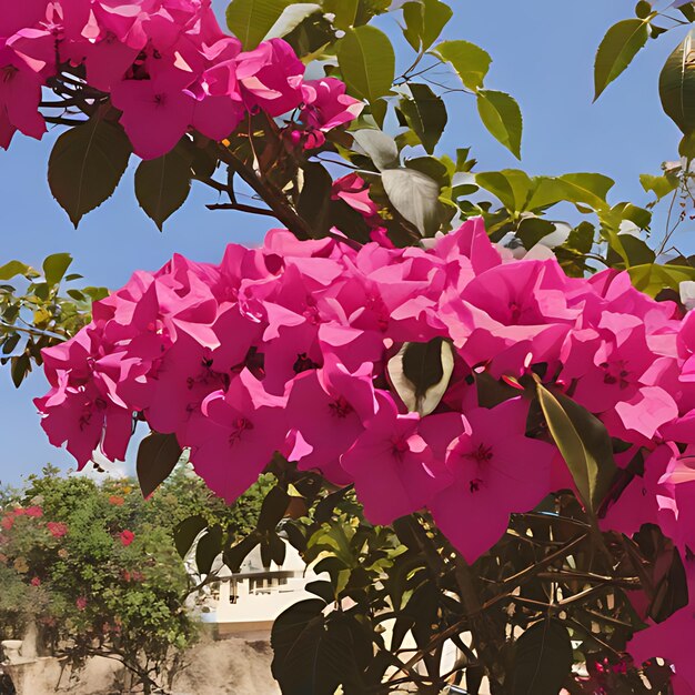 Foto una flor rosa con hojas verdes y un árbol verde en el fondo