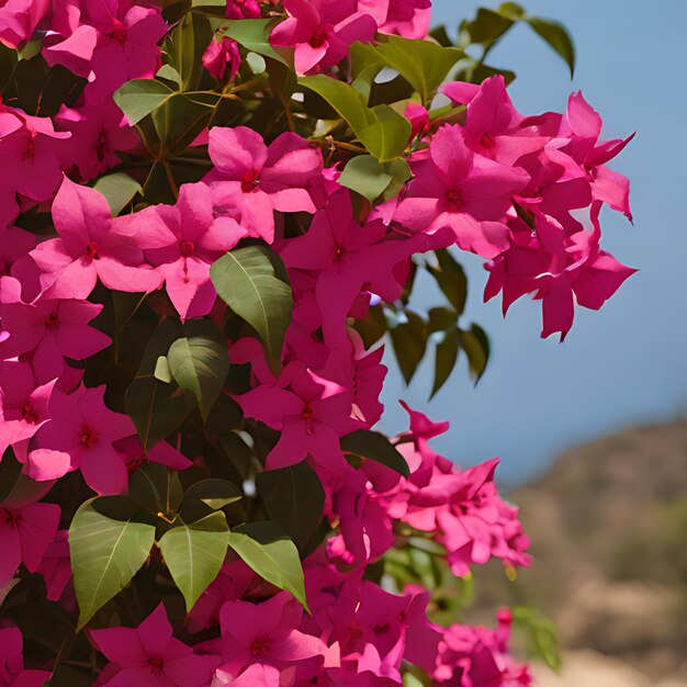 Foto una flor rosa con hojas verdes y un cielo azul en el fondo