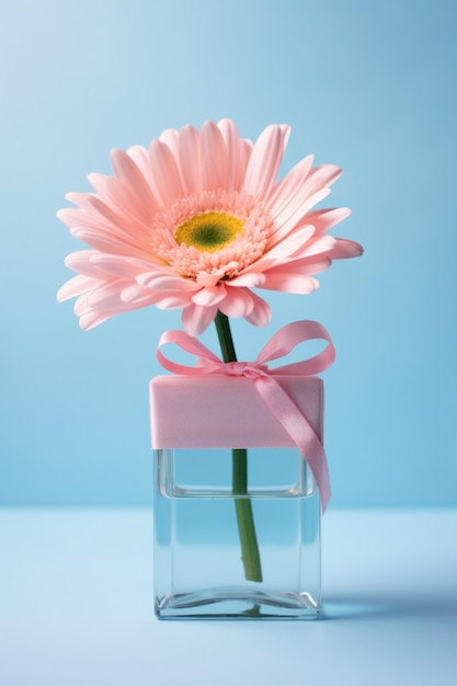 Una flor rosa en un jarrón de vidrio se sienta en un fondo azul claro con una caja de regalos