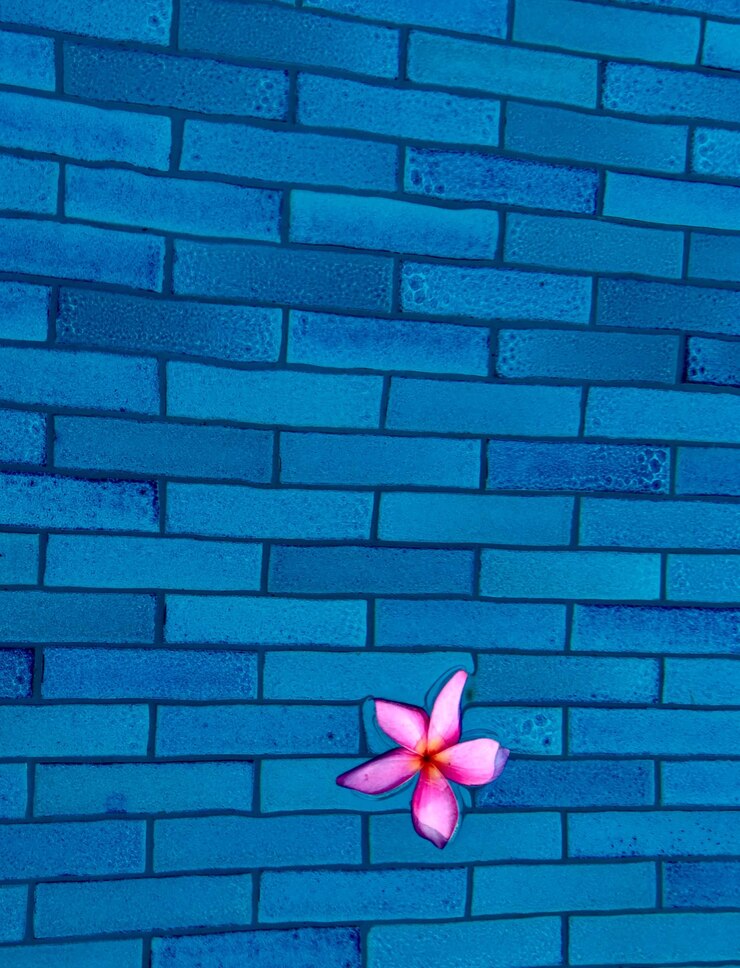 Foto flor rosa na piscina azul fundos e textura