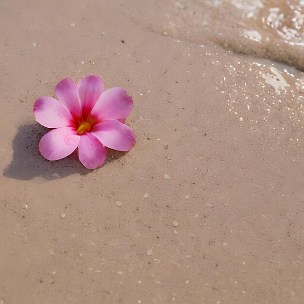 Foto una flor rosa está puesta en la arena junto al agua