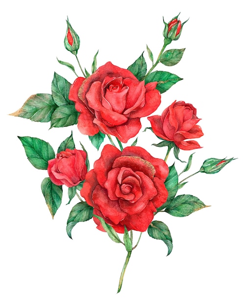 Flor de rosa roja dibujada a mano