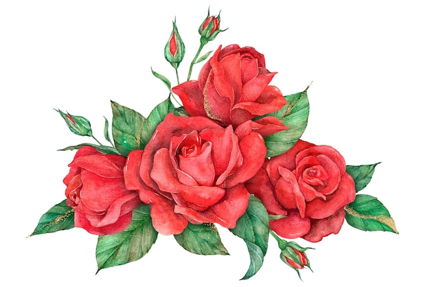 Flor de rosa roja dibujada a mano