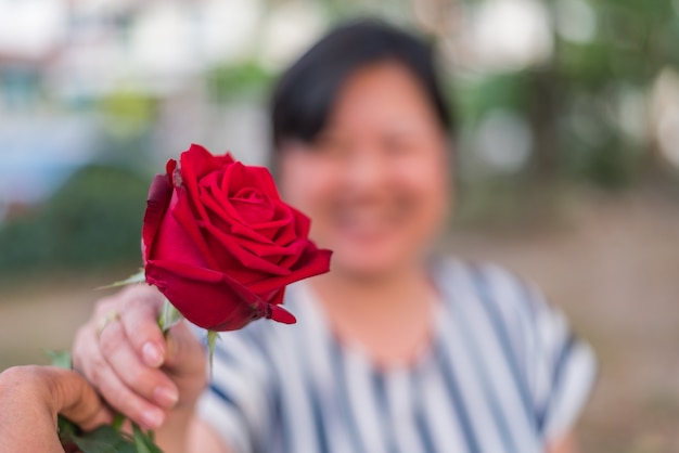 Flor rosa roja con mano humana en el día de San Valentín