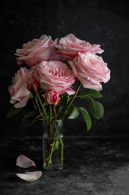 Flor rosa rosa en fondo oscuro enfoque selectivo Bienestar femenino y concepto romántico Tarjeta de felicitación floral