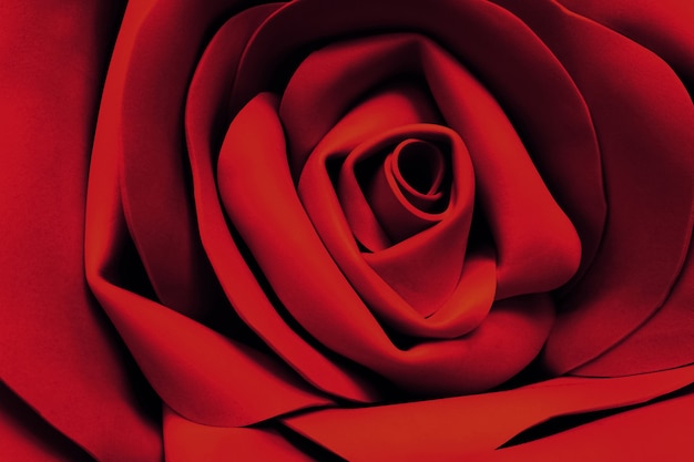 flor rosa seda vermelha