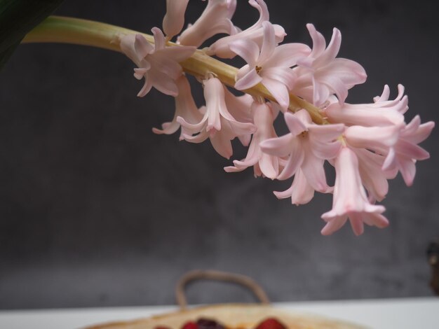 Una flor rosa en un trozo de tarta