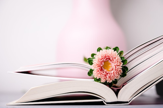 Flor rosada del aster del otoño en un espacio abierto de la copia de la foto del pastel de los libros