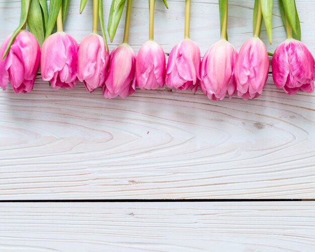 flor rosada del tulipán en el fondo de madera