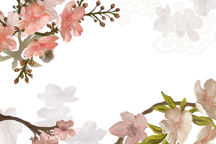 La flor de la sakura png fondo transparente borde rosado