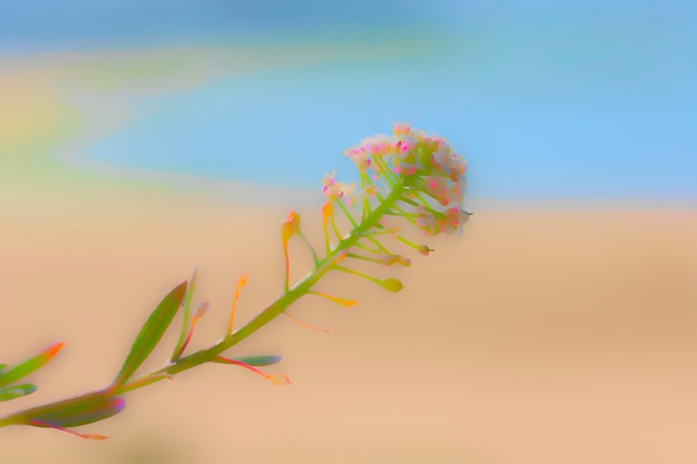 flor selvagem com efeito pictórico de cores pastel