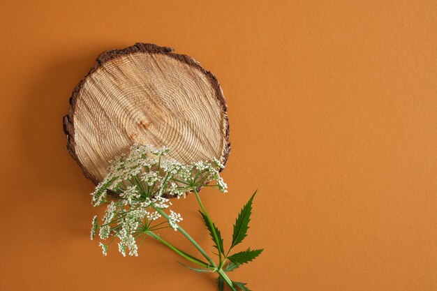 Flor selvagem e pódio de madeira em fundo marrom, fundo de simulação