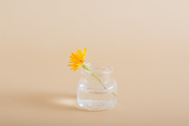 flor silvestre amarela em miniatura em uma garrafa de vidro em um fundo sólido