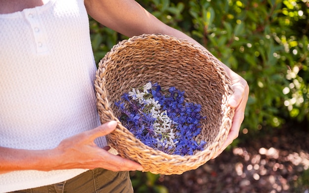 Flor silvestre en canasta para naturopatía y botánica