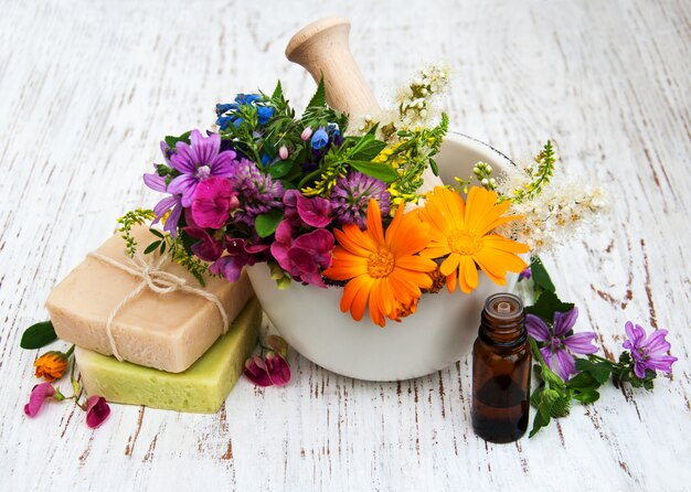 Flor silvestre y hoja de hierba en mortero.