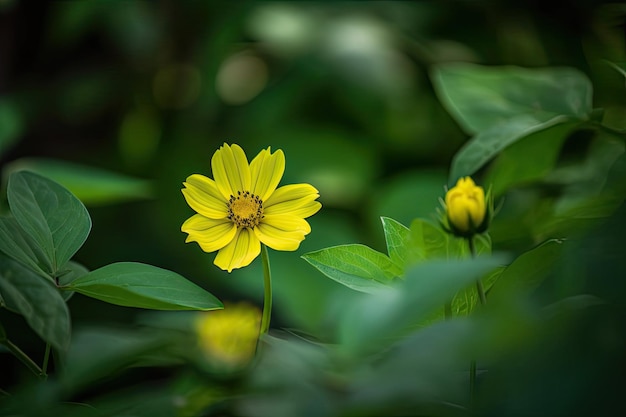 Flor solitária florescendo em um jardim colorido generativo IA