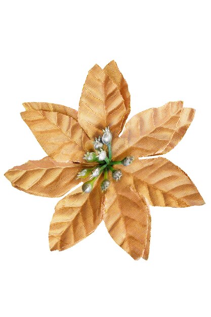 Flor de tela aislada