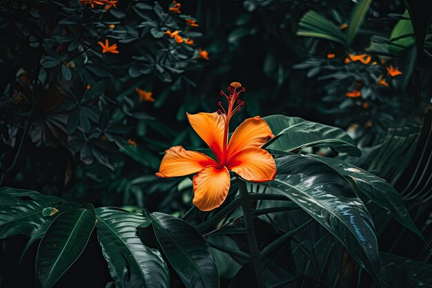 Flor tropical que florece sobre un fondo de follaje denso