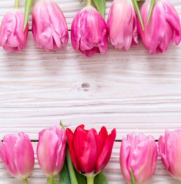 flor de tulipán rosa sobre fondo de madera