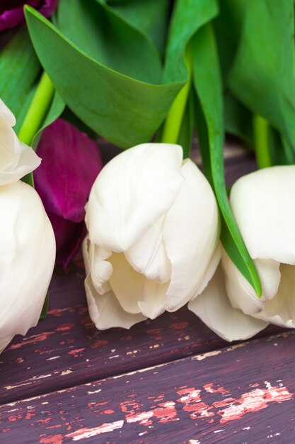 Foto flor de tulipanes de primavera