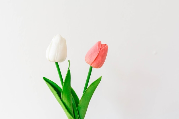 Flor de tulipanes sobre fondo blanco.