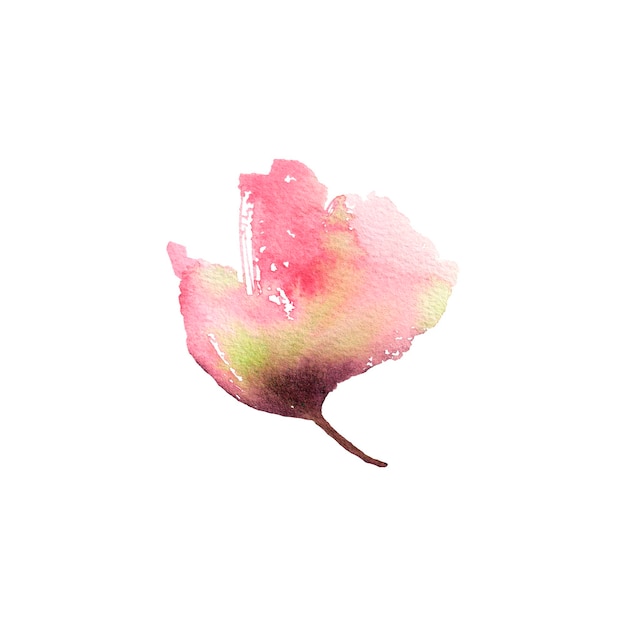 Flor única rosa sobre fundo branco pintura de papoula em aquarela cartão de saudação elemento de decoração floral