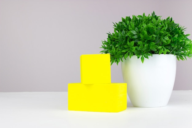 Flor verde em uma panela com cubo amarelo sobre fundo cinza. Brincar.