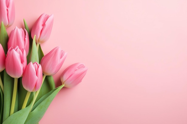 Flor verde flor presente saudação férias rosa bouquet fresco tulipa decoração valentine natureza amor belo dia de primavera floral fundo de flor
