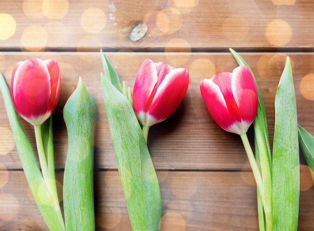 flora, jardinagem e conceito de planta - close-up de flores de tulipa vermelha na mesa de madeira