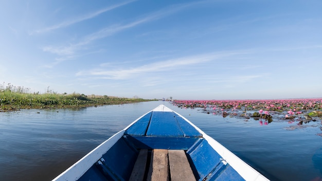 Floración de flor de loto rojo en el lago invisible viaje en barco udonthani Tailandia