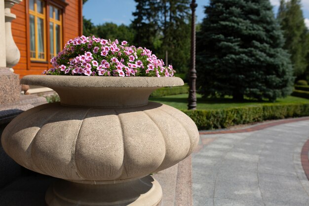 Floración de flores de verano de color rosa en una maceta cerca de la casa de madera moderna. Espacio para texto