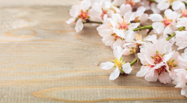 Floración de primavera Flores de almendro rosa sobre tabla de madera Espacio de copia