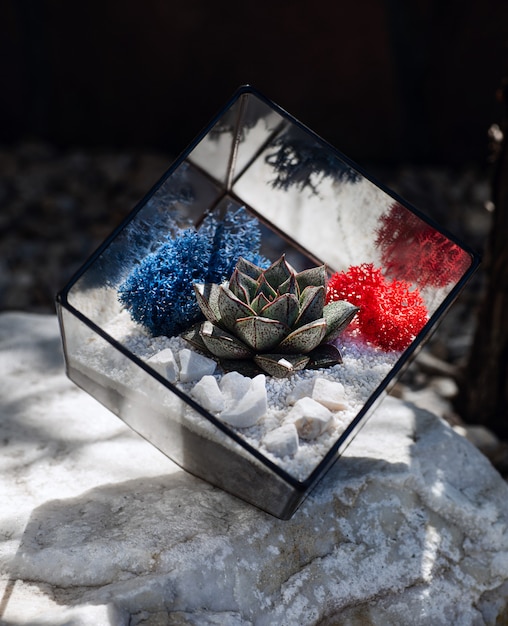 Florario de vidrio en forma de cubo con planta suculenta en piedra blanca