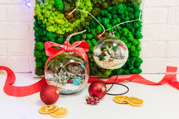 Florarium - composição de suculentas, pedra, areia e vidro com decoração natalina