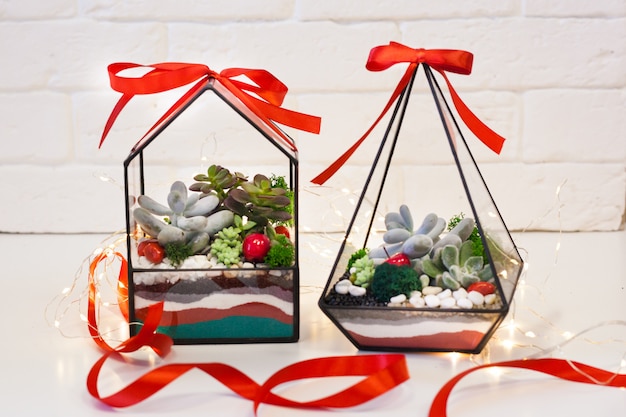 Florarium - composição de suculentas, pedra, areia e vidro, elemento do interior, decoração da casa, presente de natal, presente