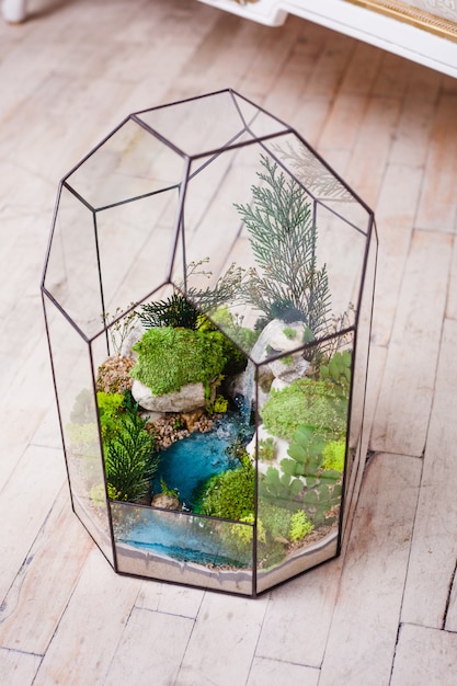 Florarium composição de suculentas, pedra, areia e vidro, elemento do interior, decoração, terarium de vidro