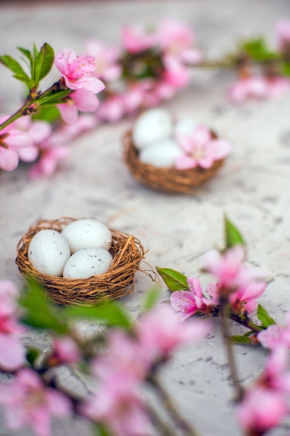 florece rosa y los huevos en el nido y copia espacio.