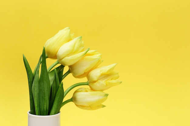 Florece el tulipán de flores amarillas en florero