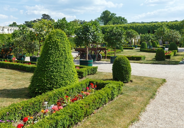 Florecimiento de flores y arbustos en el parque de la ciudad de verano