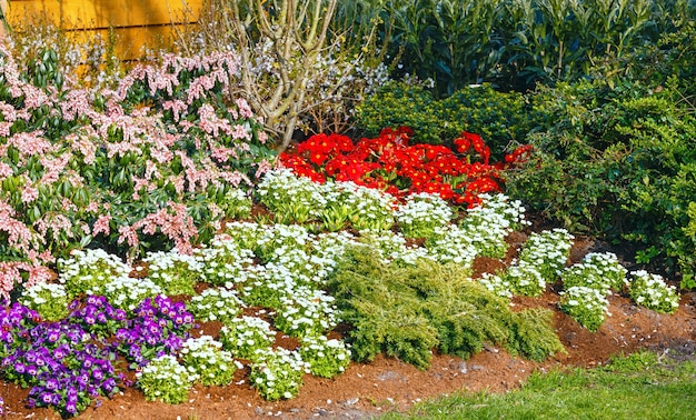 Florecimiento de flores multicolores cerca de la casa de madera