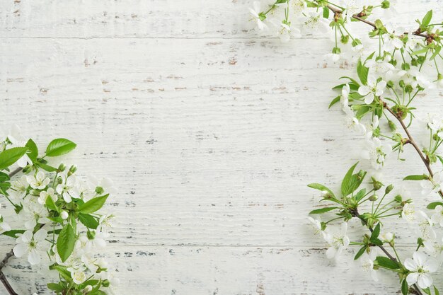 Florecimiento de manzana blanca o flor de cerezo en fondo de madera blanca Feliz fondo de Pascua Primavera Pascua fondo Día Mundial del Medio Ambiente Pascua Cumpleaños Día de las Mujeres Feriado Vista superior