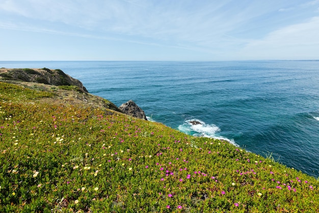 Florecimiento de verano paisaje de la costa del océano Atlántico (cabo Ponta da Arrifana, Aljezur, Algarve, Portugal).